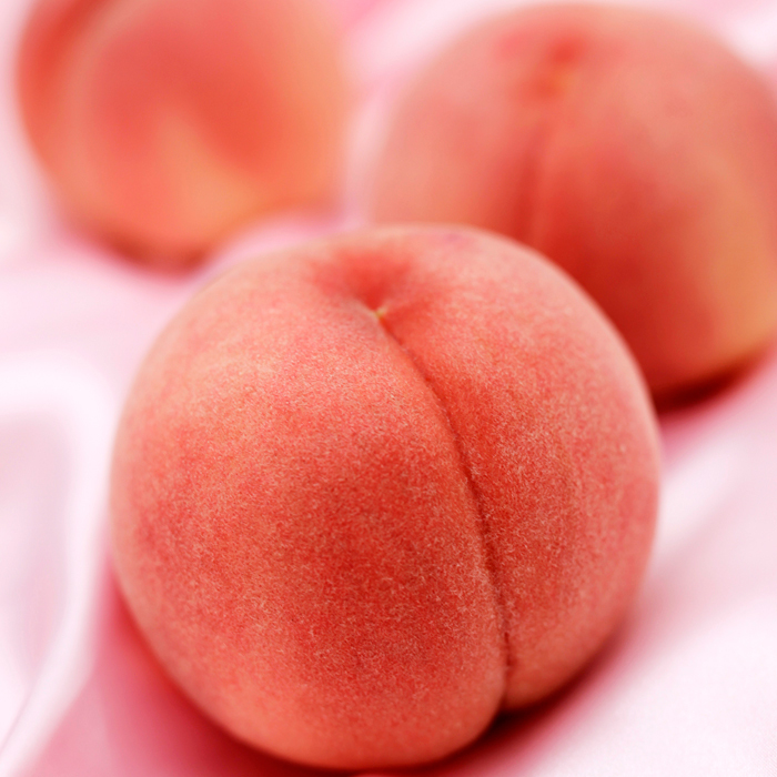 KAWANAKAJIMA HAKUTOU