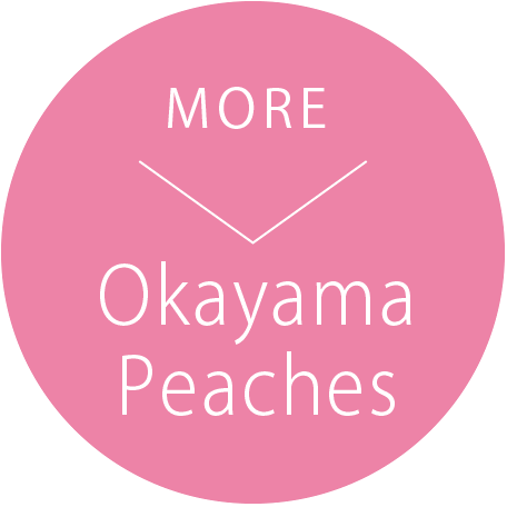 Okayama Peaches