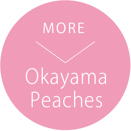 Okayama Peaches