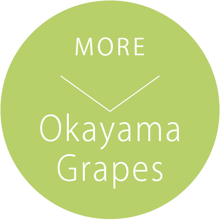 Okayama Grapes