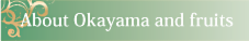 About Okayama and fruits