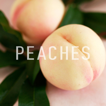 Okayama Peaches